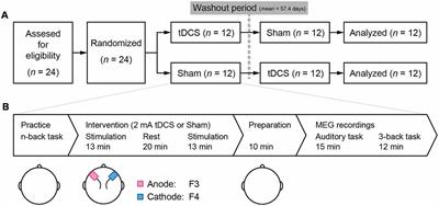 Anodal Transcranial Direct Current Stimulation Induces High Gamma-Band Activity in the Left Dorsolateral Prefrontal Cortex During a Working Memory Task: A Double-Blind, Randomized, Crossover Study